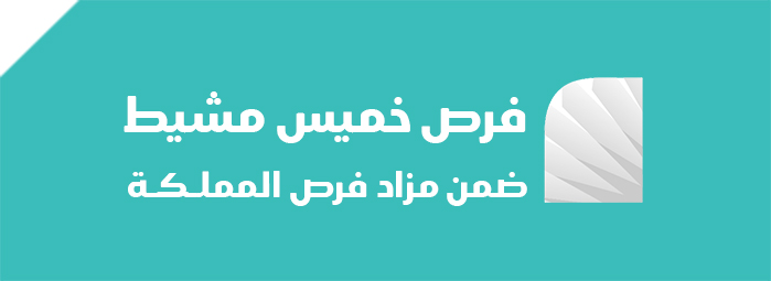 فرص خميس مشيط